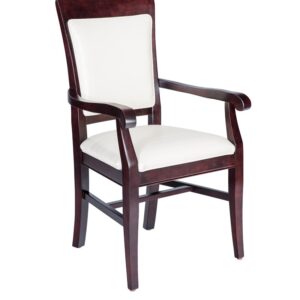 Contemporary Dining Chairs
