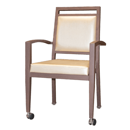 Dining Chair NV-DC-M249 OVERSTOCK