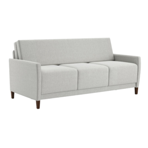 An iSeries sleeper sofa.